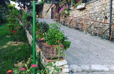 local-restaurant
